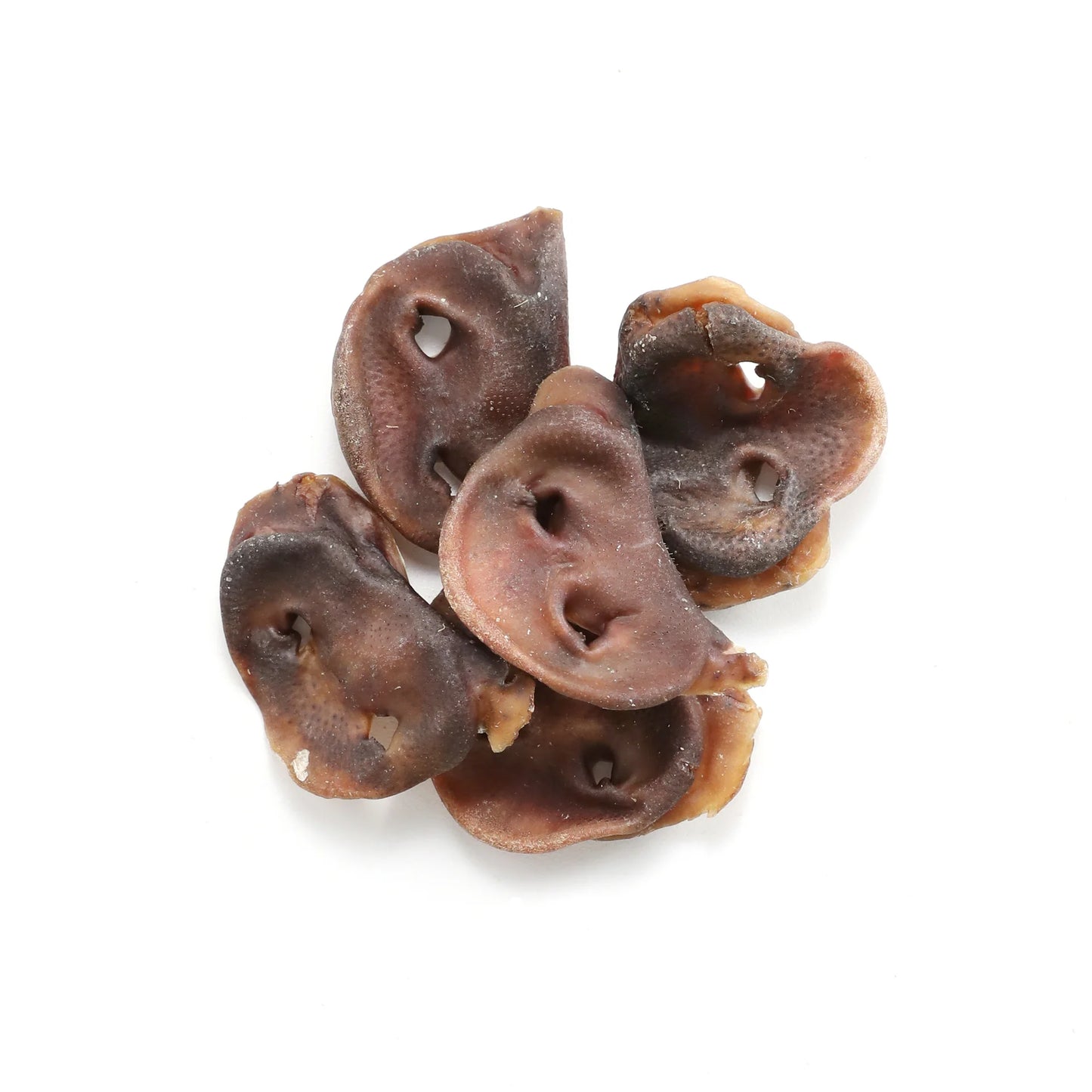 Pork Snouts