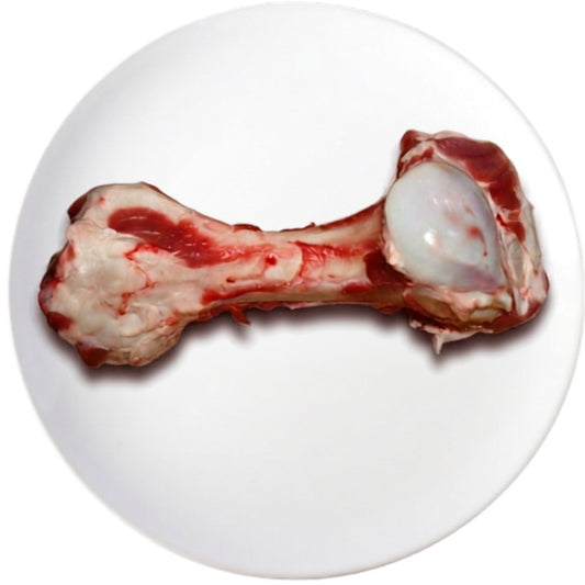 Beef Marrow Bone Whole